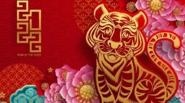 Tahun Macan Air 2022 (Foto: Pelopor.id/id.pinterest.com)
