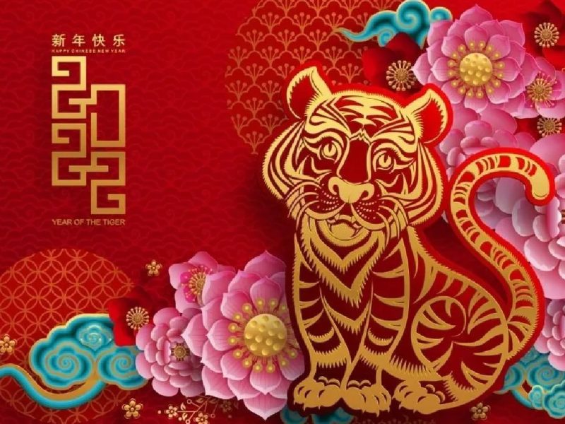 Tahun Macan Air 2022 (Foto: Pelopor.id/id.pinterest.com)