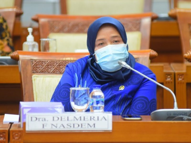 Anggota Komisi VIII DPR RI Delmeria. (Foto:Pelopor.id/DPR)