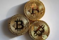 Ilustrasi Bitcoin. (Foto:Pelopor.id/Pixabay/EivindPedersen)