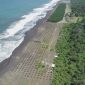 KKP: Pembangunan Sarana dan Prasarana Vegetasi Pantai Dilakukan di Kebumen dan Jember. (Foto:pelopor.id/KKP)