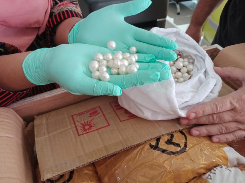 Ekspor Mutiara Laut NTB Meningkat Hampir 100%. (Foto:Pelopor.id/KKP)