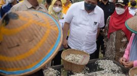 Menko Airlangga Kunjungi Daerah Penghasil Ikan Teri Asin Berkualitas di Pulau Pasaran. (Foto:Pelopor.id/Kemenko Perekonomian)