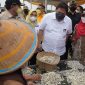 Menko Airlangga Kunjungi Daerah Penghasil Ikan Teri Asin Berkualitas di Pulau Pasaran. (Foto:Pelopor.id/Kemenko Perekonomian)