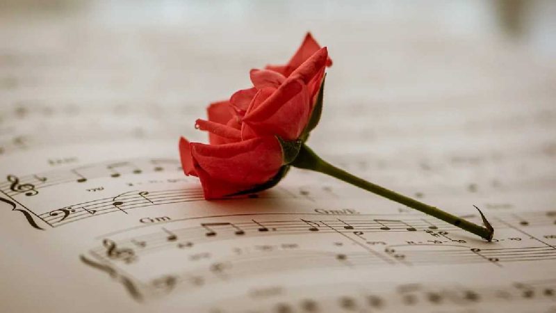 Ilustrasi. (Foto: Pelopor.id/Pixabay) 