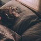 Ilustrasi tidur berkualitas. (Foto: Pelopor.id/Unsplash) 