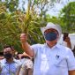 Pemerintah Dorong Optimalisasi Budidaya Padi Gogo. (Foto: Pelopor.id/ekon.go.id)