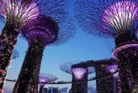 Ilustrasi Garden By The Bay, Singapura. (Foto: Pelopor.id/Pixabay) 