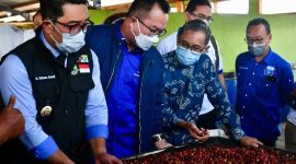 Koperasi Produsen di Garut Ekspor Kopi Perdana ke Belanda. (foto:Pelopor.id/KemenKopUKM)