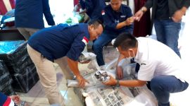 KKP dan Bea Cukai Gagalkan Penyelundupan 130 Ribu Benih Lobster. (Foto:Pelopor.id/KKP)