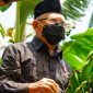 Wakil Presiden RI Ma'ruf Amin saat memberi sambutan pada acara Panen Perdana Pisang Cavendish Berorientasi Ekspor di Kabupaten Ponorogo, Provinsi Jawa Timur, Rabu (30/03/2022). (Foto:Kemenko Perekonomian)
