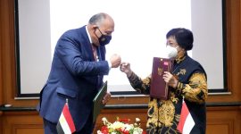 Indonesia-Mesir Sepakati Kerjasama Bidang Lingkungan dan Pembangunan Berkelanjutan. (Foto:Pelopor.id/KLHJ)