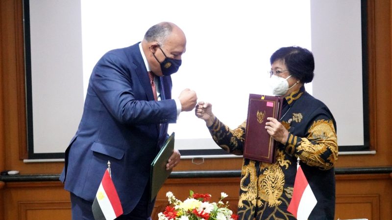 Indonesia-Mesir Sepakati Kerjasama Bidang Lingkungan dan Pembangunan Berkelanjutan. (Foto:Pelopor.id/KLHJ)