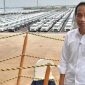 Presiden Jokowi meninjau pelepasan ekspor mobil ke sejumlah negara dari Pelabuhan Patimban, Subang, Jawa Barat. (Foto: Pelopor.id/Instagram @jokowi) 