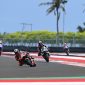 MotoGP Mandalika. (Foto:pelopor.id/Ist)