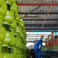 Harga LPG 3 Kg Tidak Naik, Meski Harga Minyak Dunia Melonjak. (Foto: Pelopor.id/Pertamina) 