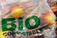 Ilustrasi bio-plastik. (Foto: Pelopor.id/Unsplash @john_cameron) 