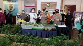Polres Metro Jakarta Selatan merilis kasus budidaya ganja hidpronik di sebuah apartemen di Bekasi, Jabar. (Foto: Pelopor.id/Polri))