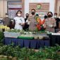 Polres Metro Jakarta Selatan merilis kasus budidaya ganja hidpronik di sebuah apartemen di Bekasi, Jabar. (Foto: Pelopor.id/Polri))