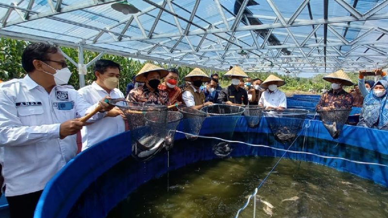 Direktur Jenderal Perikanan Budidaya, Kementerian Kelautan dan Perikanan (KKP) Tb Haeru Rahayu dalam acara pencanangan kampung perikanan budidaya lele di Desa Cambai, Kecamatan Cambai, Kota Prabumulih, Provinsi Sumatera Selatan. (Foto: KKP)