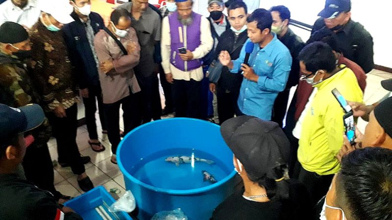 Pelatikan Budidaya Ikan KKP. (Foto: KKP)