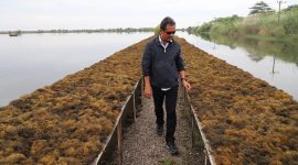 Menteri Kelautan dan Perikanan Sakti Wahyu Trenggono. (Foto: KKP)