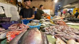 Ilustrasi Pedagang Ikan. (Foto: KKP)