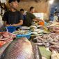 Ilustrasi Pedagang Ikan. (Foto: KKP)
