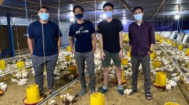 Chickin Startup Binaan Pertamina Masuk Daftar Forbes Under 30. (Foto: Pelopor.id/Pertamina) 