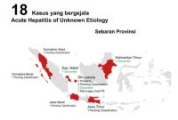 Kemenkes Temukan Dugaan 18 Orang Terjangkit Hepatitis Akut. (Foto; Pelopor.id/Kemenkes) data per 11 Mei 2022 pukul 12.00 WIB
