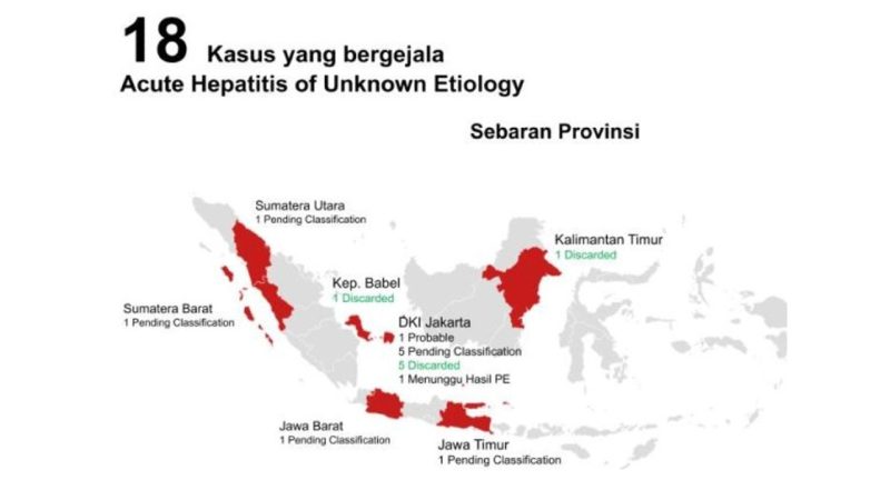 Kemenkes Temukan Dugaan 18 Orang Terjangkit Hepatitis Akut. (Foto; Pelopor.id/Kemenkes) data per 11 Mei 2022 pukul 12.00 WIB