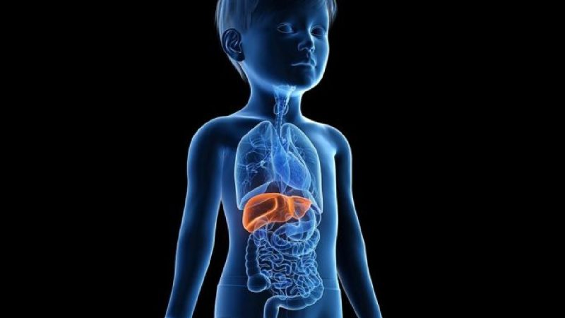 ilustrasi hepatitis. (Foto:Ist)