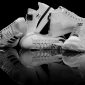 Produk sepatu Adidas. (Foto: Pelopor.id/adidas.co.id) 