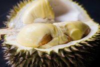 Buah durian. (Foto: Pelopor.id/Pixabay/najibzamri)