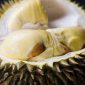 Buah durian. (Foto: Pelopor.id/Pixabay/najibzamri)