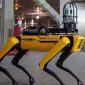 Spot, robot berkaki empat buatan Boston Dynamics. (Foto: Pelopor.id/Twitter @BostonDynamics) 