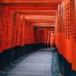 Salah satu destinasi wisata di Jepang. (Foto: Pelopor.id/Pixabay/Pexels)