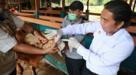 Penjabat (Pj) Gubernur Banten Al Muktabar meninjau langsung lapak penjualan hewan kurban milik warga. (Foto: Pelopor.id/Pemprov Banten) 