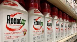 Produk roundup. (Foto: Pelopor.id/Ist.) 