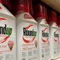 Produk roundup. (Foto: Pelopor.id/Ist.) 