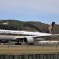 Pesawat Singapore Airlines. (Foto: Pelopor.id/Pixabay/Nel_Botha-NZ)