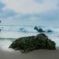 Pantai di Pangandaran. (Foto: Pelopor.id/Unsplash/firman fatthul) 