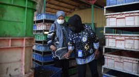 Tim Penggerak PKK Kota Yogyakarta Belajar Kelola Sampah di Surabaya. (Foto: Pelopor.id/Pemkot Yogyakarta) 
