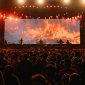 Ilustrasi Synchronize Fest. (Foto: Pelopor/Istimewa)