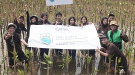 Dokumentasi penanaman pohon Mangrove yang dilaksanakan Gatsby bersama Kertabumi. (Foto: Istimewa)
