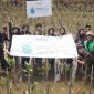 Dokumentasi penanaman pohon Mangrove yang dilaksanakan Gatsby bersama Kertabumi. (Foto: Istimewa)