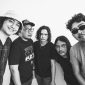 Grup band rock, The Krankers. (Foto: Istimewa)