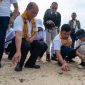 Ancol Taman Impian menggelar kegiatan pelepasliaran tukik penyu sisik di Pulau Bidadari, Kepulauan Seribu. (Foto: Istimewa)