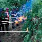 BNN musnakan 2 hektare lahan ganja di Aceh Besar(Pelopor.id/Humas BNN)
