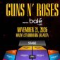 Poster daftar harga tiket konser Guns N' Roses di Jakarta 2026. (Foto: Istimewa)